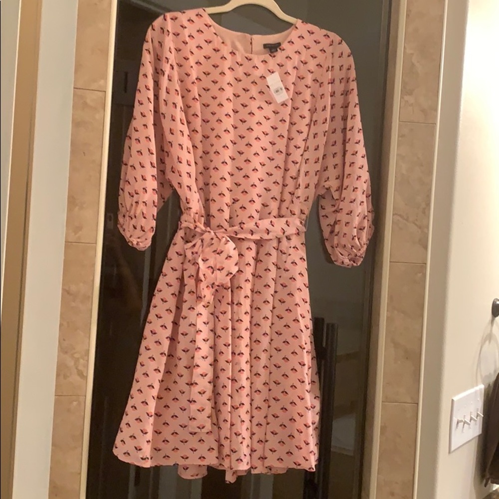 Ann Taylor